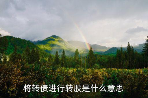 什么是債轉(zhuǎn)股，將轉(zhuǎn)債進(jìn)行轉(zhuǎn)股是什么意思