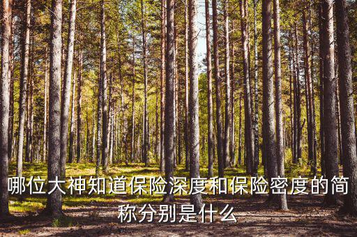 什么叫保險(xiǎn)密度，保險(xiǎn)深度與密度是什么