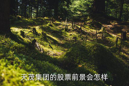 國泰醫(yī)藥什么時候復牌，天茂集團的股票前景會怎樣