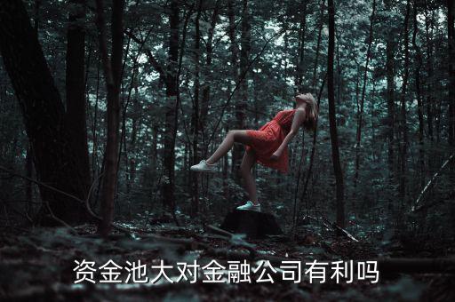 擠兌風(fēng)波是什么意思，請詳細解釋下銀行的擠兌事件的具體內(nèi)容