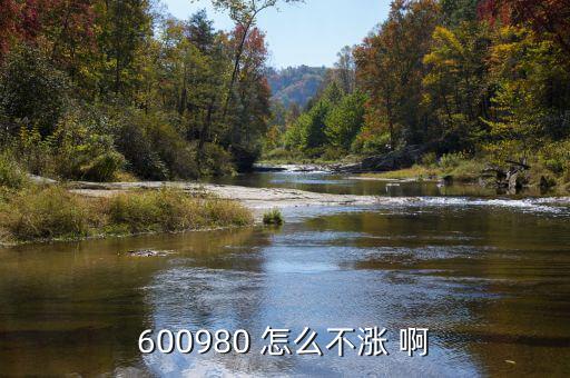 大地傳媒為什么不漲，大地傳媒能借利好走出大行情嗎