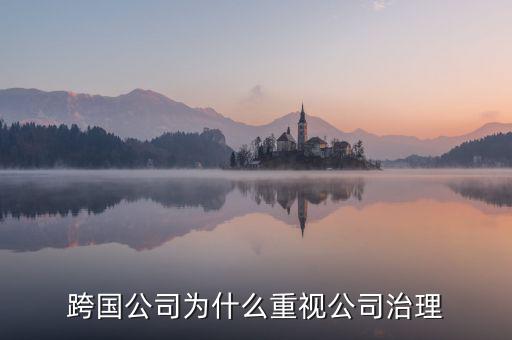 為什么要公司治理，索尼公司為何要進行公司治理改革