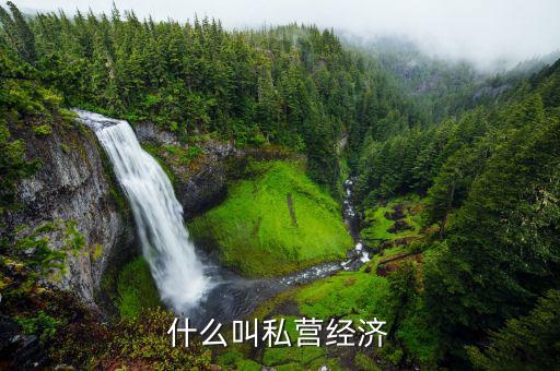 什么叫私營經濟
