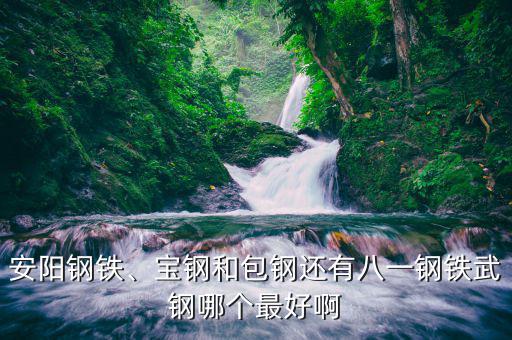 安陽(yáng)鋼鐵、寶鋼和包鋼還有八一鋼鐵武鋼哪個(gè)最好啊