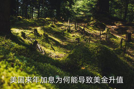 美聯(lián)儲(chǔ)加息為什么會(huì)使美元升值，美國(guó)來(lái)年加息為何能導(dǎo)致美金升值