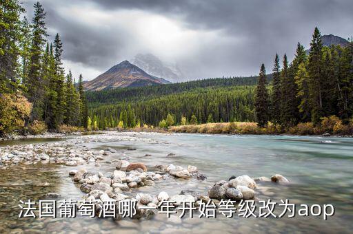法國發(fā)生什么改革，法國葡萄酒哪一年開始等級改為aop
