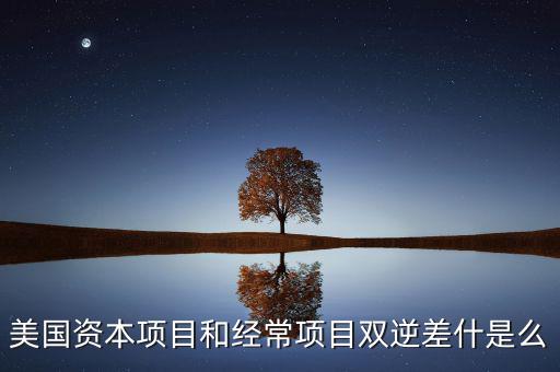 雙逆差是什么意思，逆差是什么意思