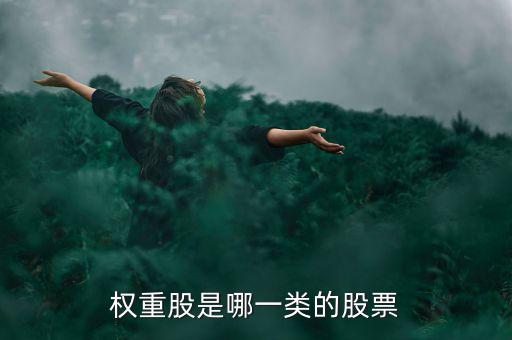權(quán)重股是什么意思，權(quán)重股是哪一類的股票
