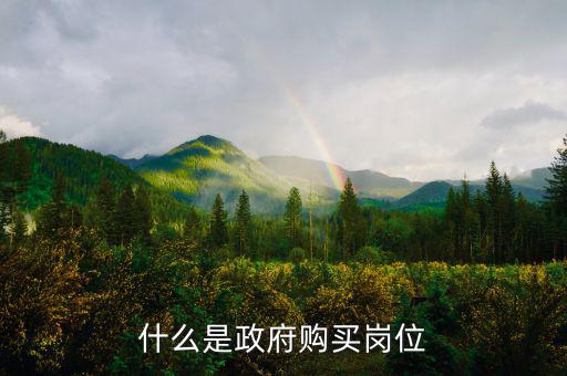 什么叫政府購(gòu)買服務(wù)，什么是政府購(gòu)買崗位