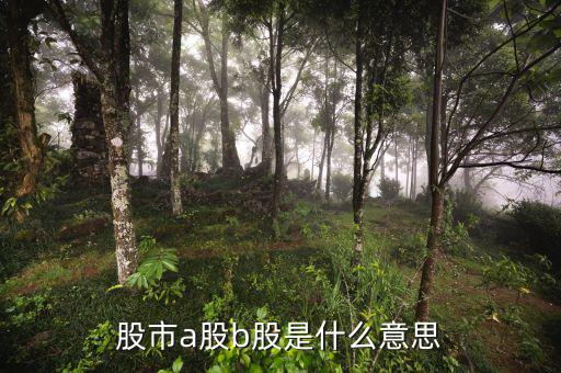 滬市a股是什么意思，什么是A股