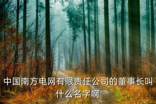 南方電網(wǎng)董事長(zhǎng)是什么級(jí)別，南方電網(wǎng)是的老總是部級(jí)嗎