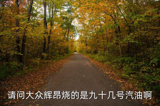 什么車(chē)燒90號(hào)汽油，請(qǐng)問(wèn)大眾輝昂燒的是九十幾號(hào)汽油啊