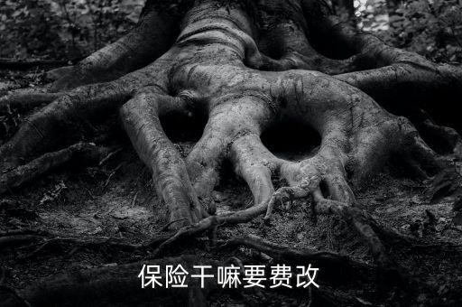 什么是費(fèi)改產(chǎn)品，移動(dòng)營(yíng)業(yè)廳不能由用戶老產(chǎn)品轉(zhuǎn)換成當(dāng)前產(chǎn)品什么意思