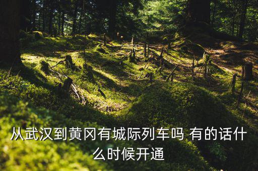 武漢至黃岡城際鐵路什么時(shí)候通車，從武漢到黃岡有城際列車嗎 有的話什么時(shí)候開通