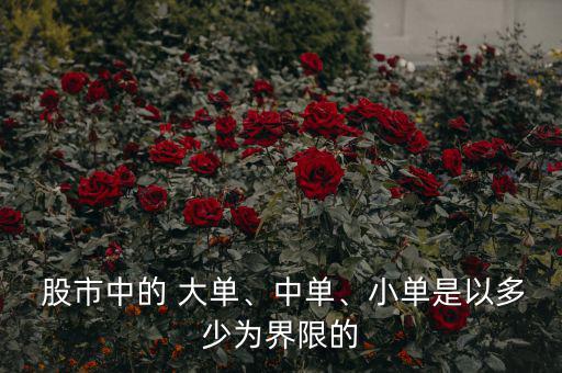  股市中的 大單、中單、小單是以多少為界限的