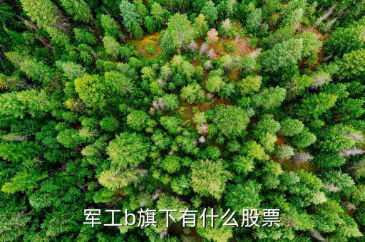軍工b屬于什么股票，軍工b旗下有什么股票