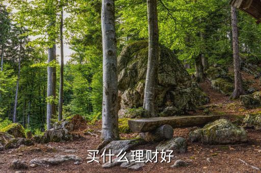 買(mǎi)什么理財(cái)產(chǎn)品，買(mǎi)什么理財(cái)好