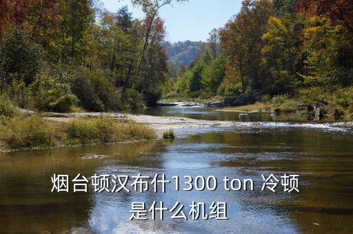 美國頓漢布什冰機什么用處，頓漢布什怎么樣