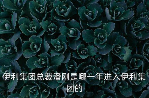 潘剛什么背景，潘剛是哪里人啊