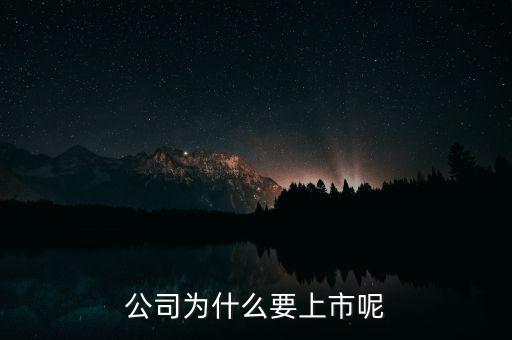 公司為什么上市，公司為什么要上市呢