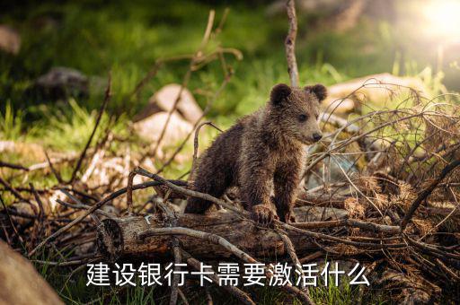 建行信用卡激活需要什么，激活信用卡需要準(zhǔn)備什么東西身份證和戶口本