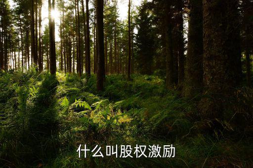 什么叫股權(quán)激勵，股票的股權(quán)激勵是什么意思