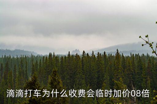 滴滴打車為什么收費(fèi)會臨時(shí)加價(jià)08倍