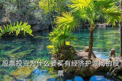 什么是股票投資的護(hù)城河理論，從基本面看證券投資的護(hù)城河是指哪幾類情況