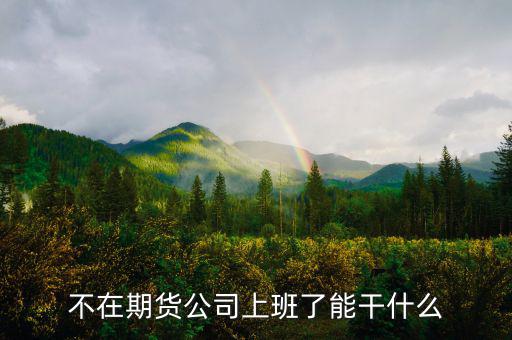 去期貨公司能做什么，本人去某期貨公司總部適合做什么