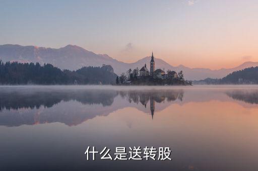 什么叫送股，什么是送轉(zhuǎn)股