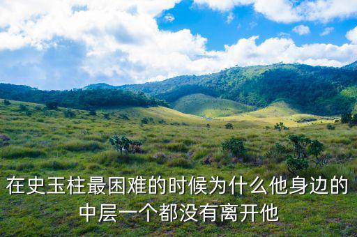 史玉柱為什么辭職，巨人史玉柱破產(chǎn)的原因是什么