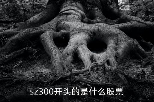 sz開頭的是什么股票，sz300開頭的是什么股票
