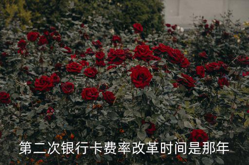 各銀行手續(xù)費改革什么時候開始，第二次銀行卡費率改革時間是那年