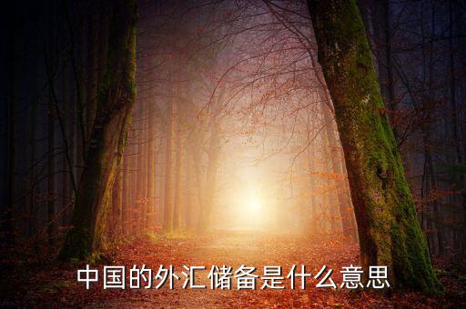 中國外匯儲備包括什么，我國外匯儲備