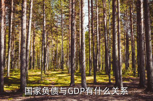 國家負債是什么，國債是什么比如說中國有美國的國債100億是否可以理解為美國欠中