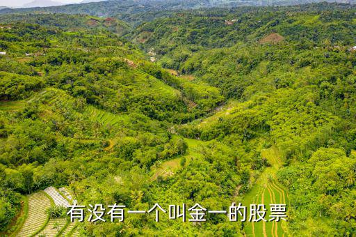 金一文化為什么停牌，金一文化什么時候復(fù)牌