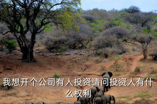投資人最核心的優(yōu)先權是什么，投資人最關心哪三大核心問題
