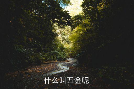 什么叫一市五金多套餐，知不知道招聘里說的 五金齊全是指什么