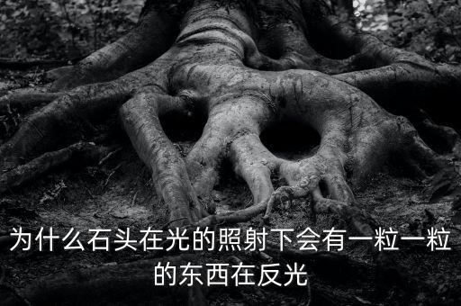 中金星石為什么這么差，為什么石頭在光的照射下會有一粒一粒的東西在反光