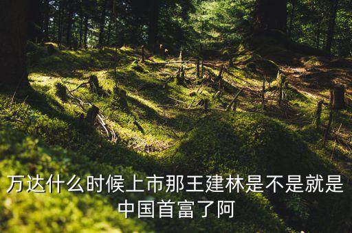 萬(wàn)達(dá)什么時(shí)候上市，中國(guó)萬(wàn)達(dá)集團(tuán)是否上市