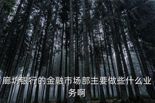 齊飛金融主營什么業(yè)務，堅固金融都有什么業(yè)務實力怎么樣