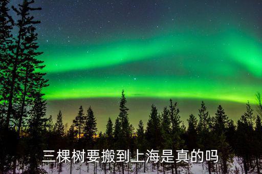 三棵樹(shù)什么時(shí)間上市，三棵樹(shù)要搬到上海是真的嗎