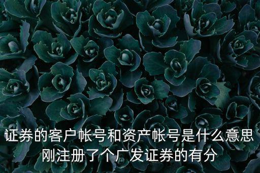 申萬宏源資產(chǎn)賬號是什么，我知道瀘A股東的賬號怎么查資金賬號申萬宏源