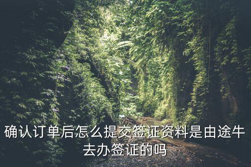 為什么途牛金服資料提交不了，申請(qǐng)途牛額度的資料怎么填寫(xiě)我填的都是真的也很全啊但是一提