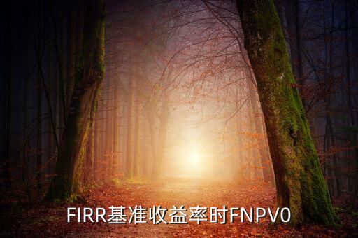 收益率什么時(shí)候?yàn)檎?，F(xiàn)IRR基準(zhǔn)收益率時(shí)FNPV0