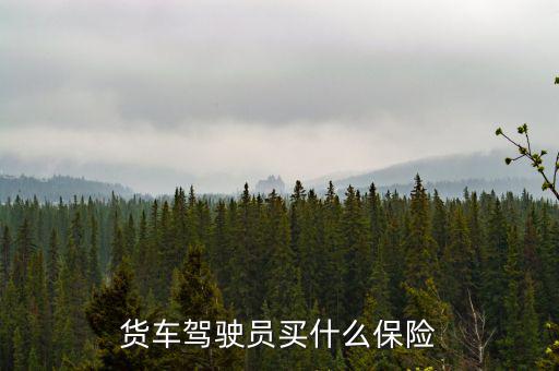 貨車司機買什么保險好，大貨車買什么保險最好