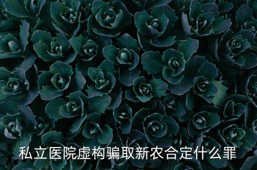 私立醫(yī)院騙國(guó)家醫(yī)保上千萬(wàn)什么罪，私立醫(yī)院虛構(gòu)騙取新農(nóng)合定什么罪