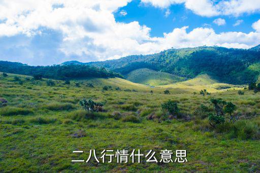 什么是288指數(shù)，股票二八現(xiàn)象是什么意思