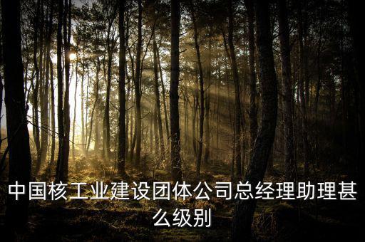 中國核工業(yè)建設團體公司總經(jīng)理助理甚么級別