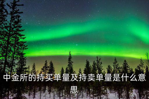 持買單量是什么意思，持賣單什么意思